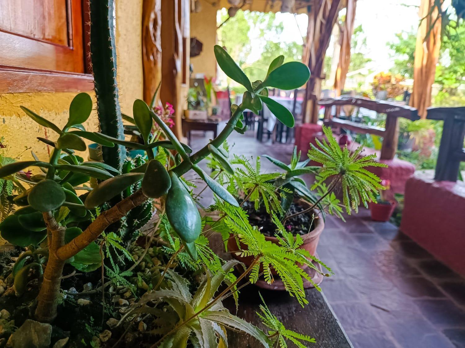 Hotel Del Campo Quimbaya Εξωτερικό φωτογραφία